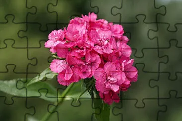 OK jigsaw puzzle