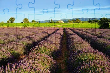 Foto jigsaw puzzle