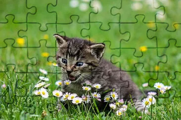 Toy jigsaw puzzle