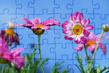 OK jigsaw puzzle