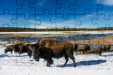 Toy jigsaw puzzle