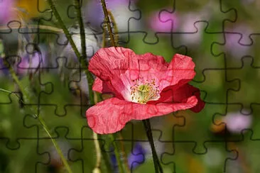 OK jigsaw puzzle