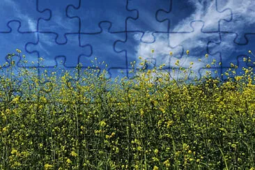 Toy jigsaw puzzle