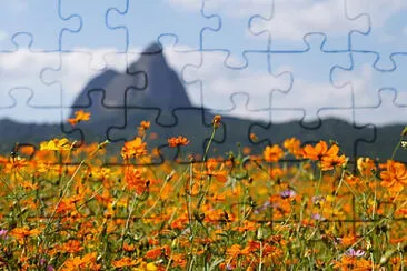 Toy jigsaw puzzle