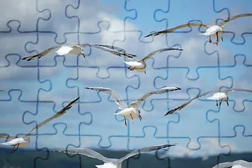 Toy jigsaw puzzle