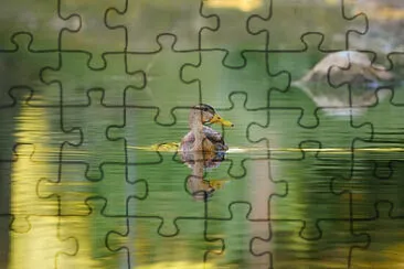 Toy jigsaw puzzle