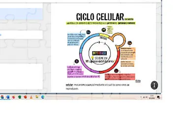 פאזל של EL CICLO CELULAR