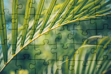 Toy jigsaw puzzle