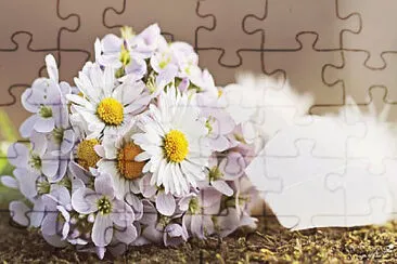 Toy jigsaw puzzle