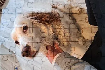 צוק jigsaw puzzle