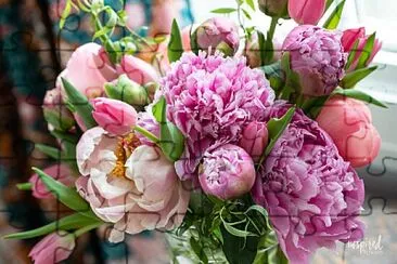 Peonies jigsaw puzzle