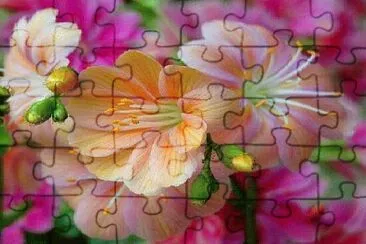 OK jigsaw puzzle