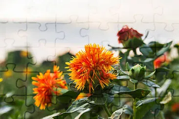 Toy jigsaw puzzle