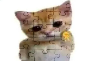 gatito jigsaw puzzle