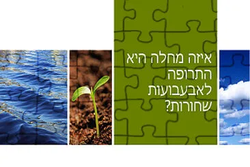 ביומימיקרי