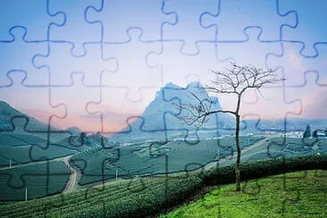 Toy jigsaw puzzle