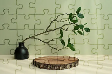 Toy jigsaw puzzle