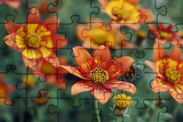 Toy jigsaw puzzle