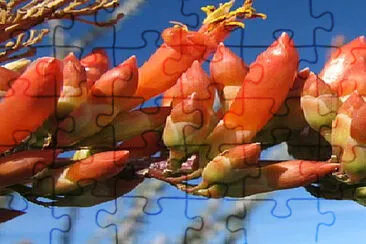 Toy jigsaw puzzle