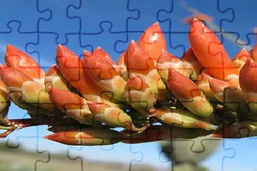 Toy jigsaw puzzle