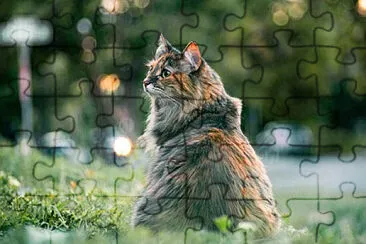 Toy jigsaw puzzle