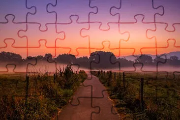 Toy jigsaw puzzle