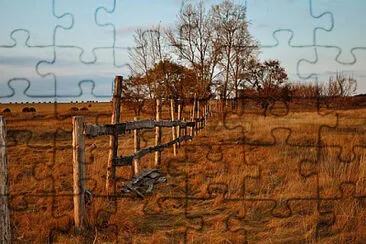 Toy jigsaw puzzle