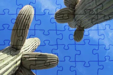 Toy jigsaw puzzle