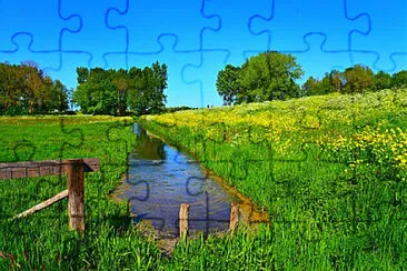 Toy jigsaw puzzle