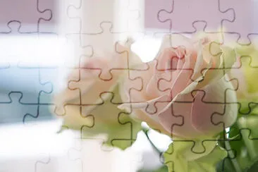 Toy jigsaw puzzle