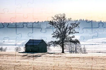 Toy jigsaw puzzle