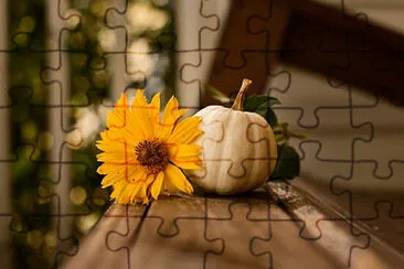 Toy jigsaw puzzle