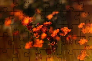 Toy jigsaw puzzle