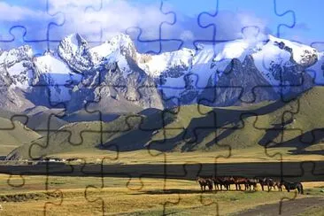 Kirghystan horses jigsaw puzzle