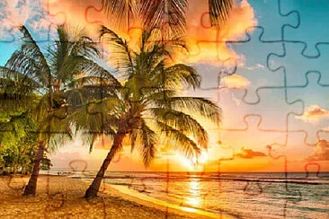 1 jigsaw puzzle