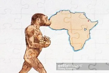 proceso de hominización