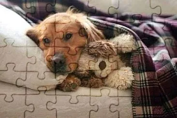 perro jigsaw puzzle