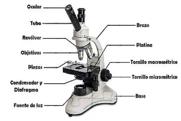 Microscopio jigsaw puzzle