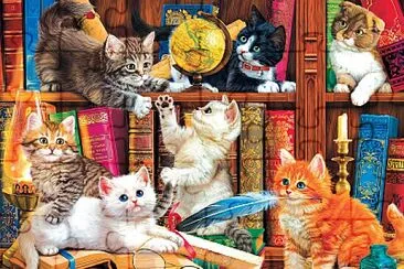 Chatons a la bibliotheque