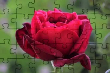  jigsaw puzzle