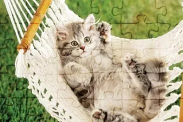 gato jigsaw puzzle