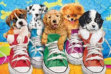 Dans les chaussures jigsaw puzzle