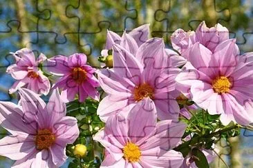 imagem jigsaw puzzle