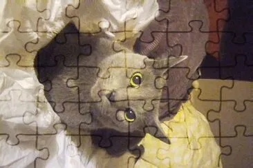 family jigsaw puzzle