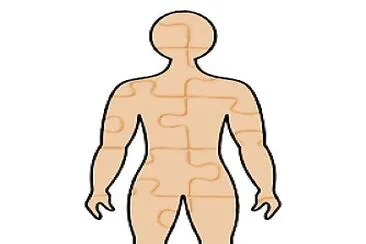 cuerpo humano jigsaw puzzle