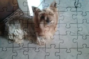 coco jigsaw puzzle