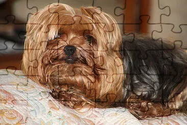 lulu jigsaw puzzle