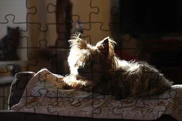 coco jigsaw puzzle