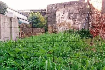 Casa Abandonada 1