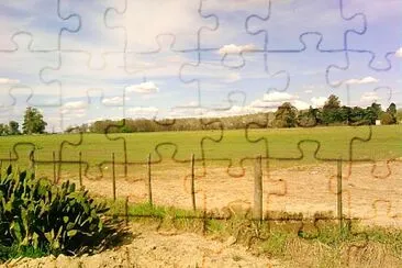 Campo y Paisaje jigsaw puzzle